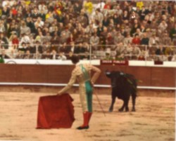 VAanarch_thes_gport14