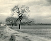 VAanarch_thes_lndsc3